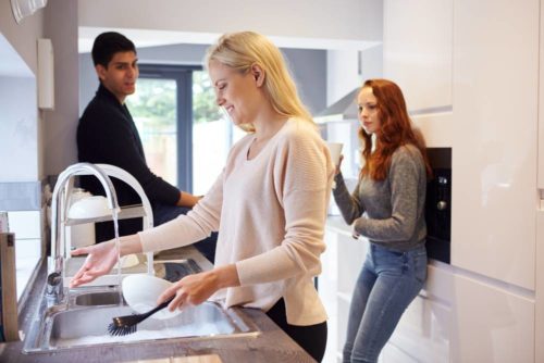 Example of flatmates using systems to wash up